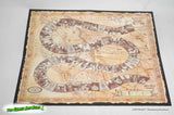 Cowgirls Ride the Trail of Truth a Game for Women - Side Saddle 1998 w some New Parts