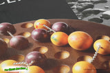 Eclipse Game - Gigamic 2009 w Box wear