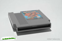 Tecmo World Wrestling - Nintendo Entertainment System, Tecmo 1990
