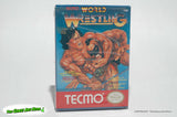 Tecmo World Wrestling - Nintendo Entertainment System, Tecmo 1990