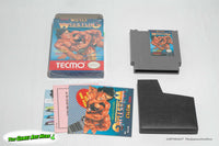 Tecmo World Wrestling - Nintendo Entertainment System, Tecmo 1990