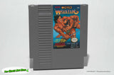 Tecmo World Wrestling - Nintendo Entertainment System, Tecmo 1990
