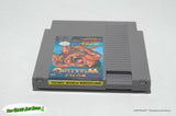 Tecmo World Wrestling - Nintendo Entertainment System, Tecmo 1990