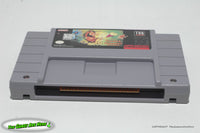 Timon & Pumbaa's Jungle Games - Super Nintendo 1991