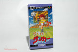 World Soccer - Coconuts Japan IMPORT Super Famicom 1993